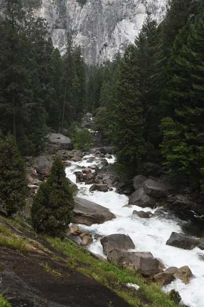 DSC_4708 (Large).JPG